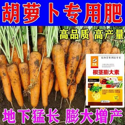 胡萝卜膨大素病害专用肥料地下根茎膨大增产剂防裂控旺药叶面肥