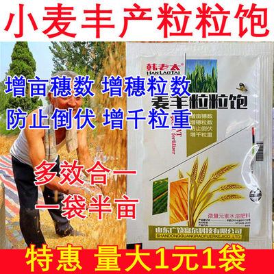 小麦增产专用叶面肥控旺高产分蘖抗倒伏缩节籽粒饱满灌浆肥麦黄金