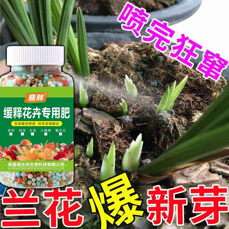 兰花枯叶病焦尖黑斑专用药花卉绿植病菌杀菌剂桂花黑斑黄叶落叶