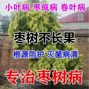 枣疯病专用药枣树病全治炭疽缩果卷叶轮纹病褐腐病农用杀菌剂