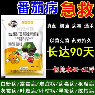 番茄病干净专用药杀菌制剂蔓枯病溃疡炭疽白粉灰霉病微生物菌