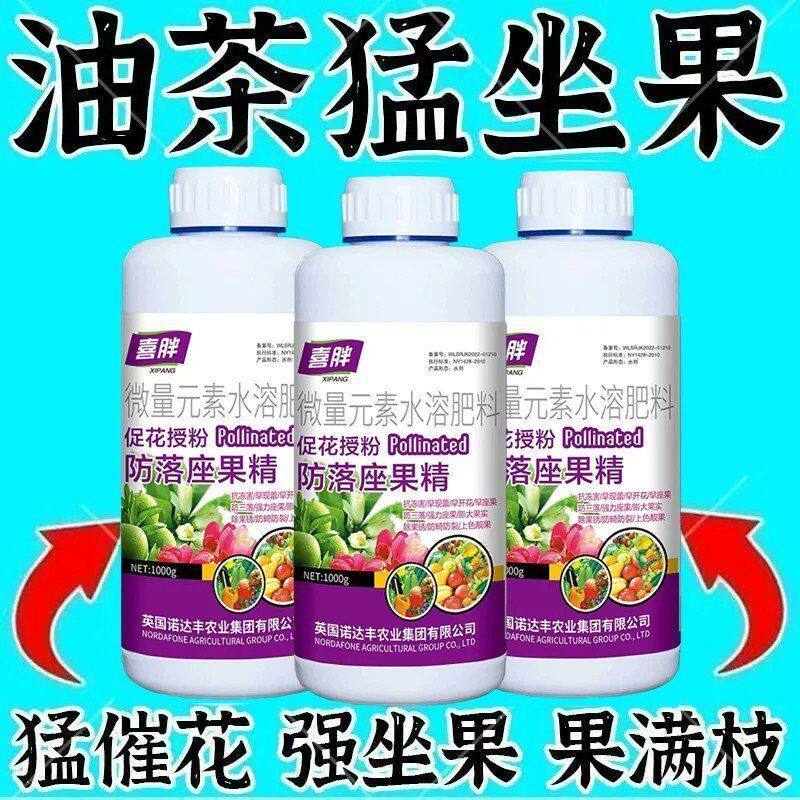 油茶专用授粉肥授粉花果素防落素保花保果素沾花素强效授粉座果精