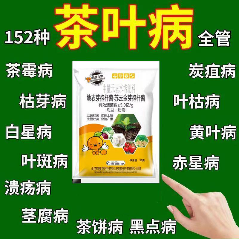 茶树病专用杀菌剂茶树病害清茶饼软腐炭疽叶枯叶霉黑斑茶叶病全治