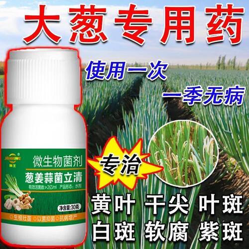 大葱病害专用药大葱病菌清霜霉干尖专用大葱专用杀菌剂病全治全管
