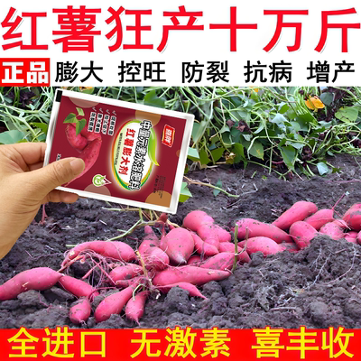正品红薯宝宝控旺膨大素地瓜红苕增甜增产防裂补钙补镁专用叶面肥