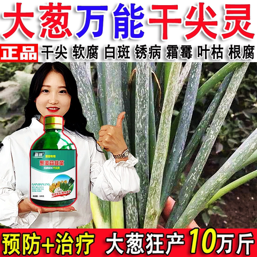 大葱白斑病葱病药专用杀菌剂病全治预防急救锈病黄叶干尖黑斑病
