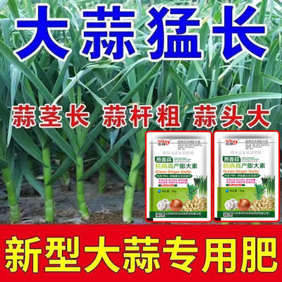 大蒜专用有机肥蒜苗专用肥底肥追肥冲施肥叶面肥水溶肥粗壮高产