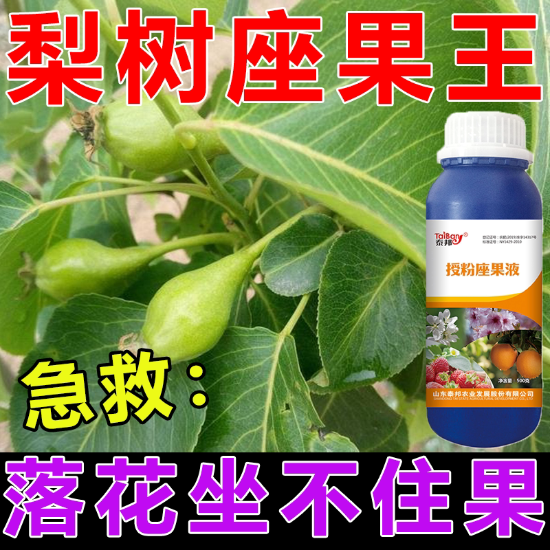 梨树专用授粉座果精授粉药强力授粉座果保花梨树无需沾花坐果灵