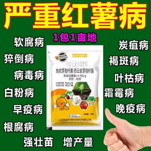 红薯杀菌剂红薯专用药黑斑病软腐病病毒病根腐农用杀菌红薯病全治