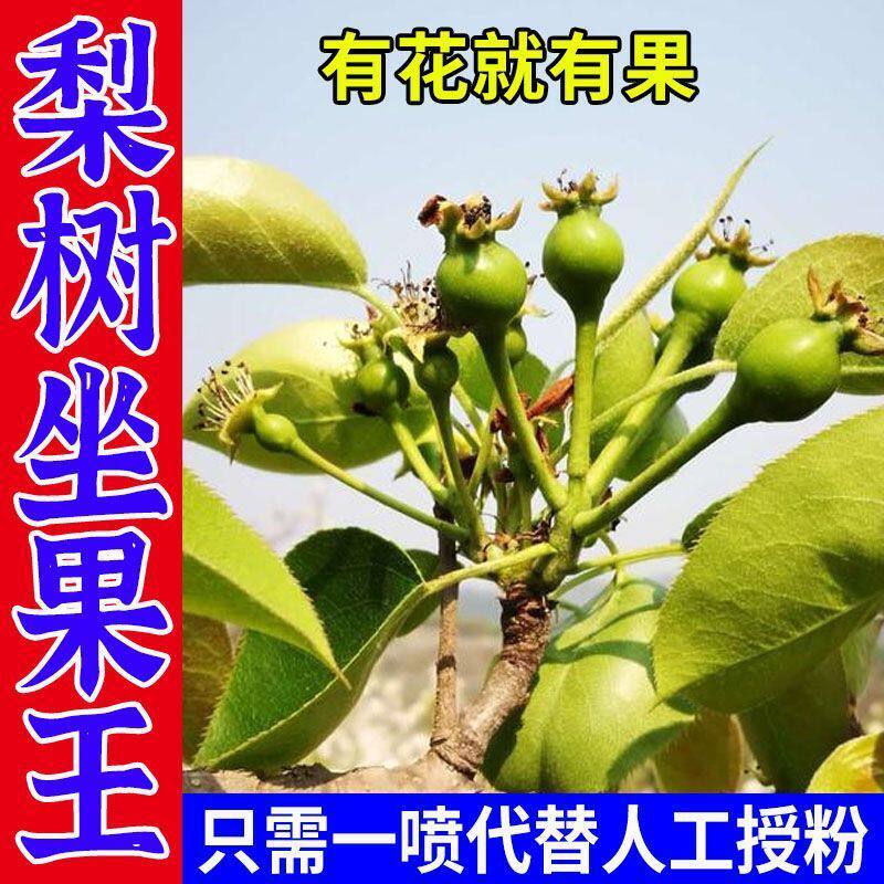 梨树专用座果梨树授粉催花保花素防落果梨通用控梢不控果促控剂