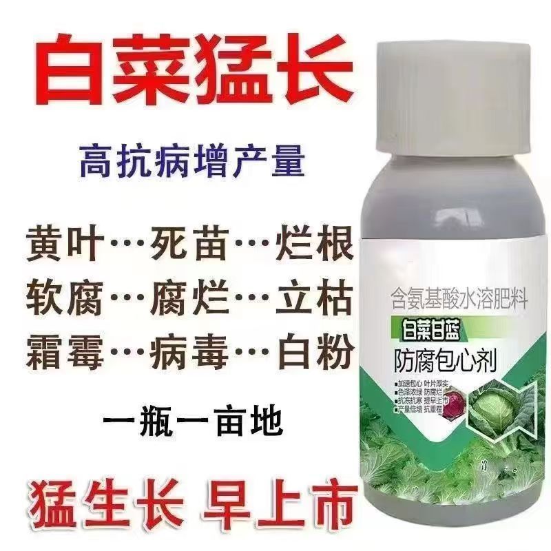白菜专用肥白菜猛涨预防大白菜烂根黄叶腐烂软腐灰霉病非农药全治