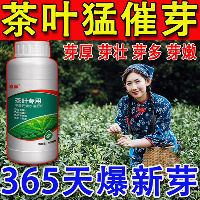 茶树催芽剂叶面肥强力催芽爆新芽茶叶提前出芽促长剂茶叶催芽王