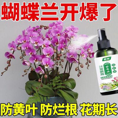 【猛出花箭】蝴蝶兰专用营养液促花剑开花肥兰花盆栽免稀释专用肥