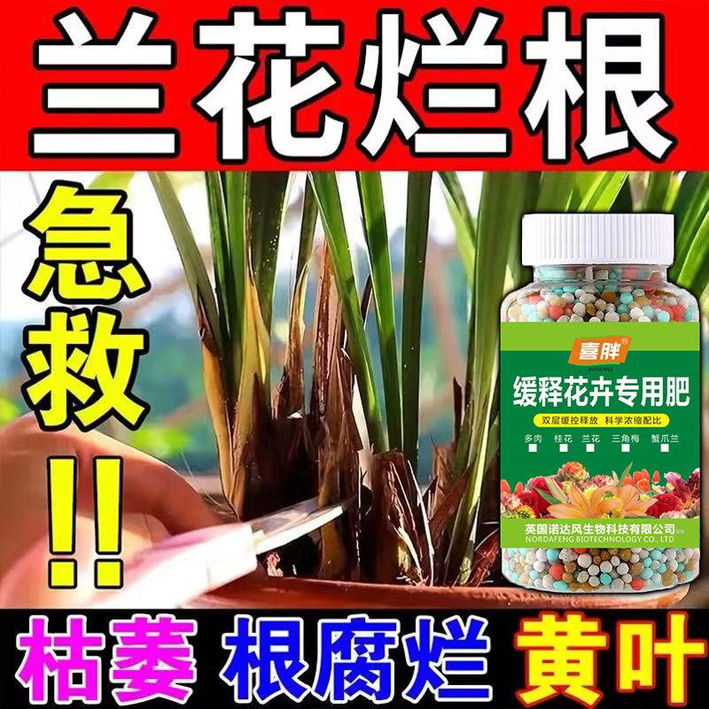 兰花枯叶病焦尖黑斑专用药花卉绿植病菌杀菌剂桂花黑斑黄叶落叶