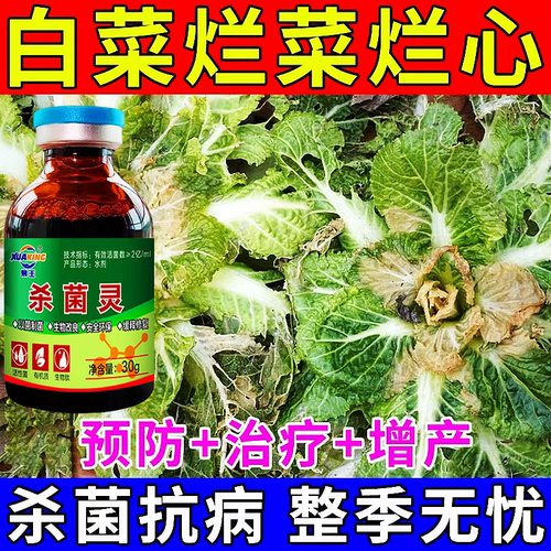 白菜防腐防烂药白菜包心剂大白菜烂根腐烂黄叶软腐灰霉专用杀菌剂