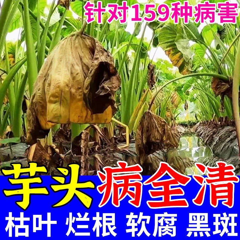 芋头病专用药烂叶斑点疫病霜霉病铜钱病芋瘟病全治防治杀菌剂正品