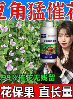 豆角不开花?豆角花芽分化催花素强效催花促花保花保果专用肥料