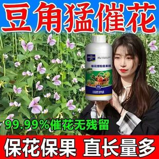 豆角不开花?豆角花芽分化催花素强效催花促花保花保果专用肥料