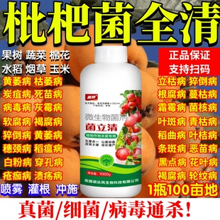 枇杷专用杀菌剂枇杷病全治花腐病灰斑病斑点病炭疽病叶斑病烟煤病