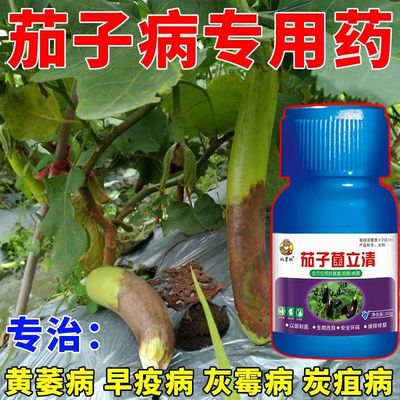 茄子专用药茄子黄萎病炭疽病疫病灰霉病枯萎病根腐病全治菌剂