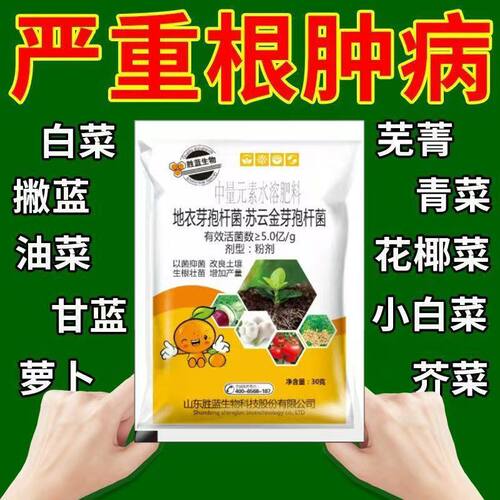 白菜根肿大白菜专用药根肿菌核病黄叶烂杆症专治蔬菜根肿病根瘤菌