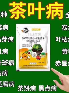 茶树病专用杀菌剂茶树病害清茶饼软腐炭疽叶枯叶霉黑斑茶叶病全治