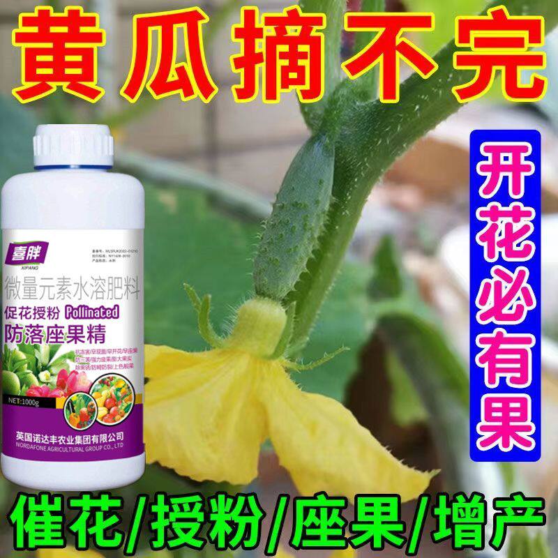 黄瓜坐瓜灵授粉坐果精保花坐果防落果无需沾花点花授粉喷雾叶面肥
