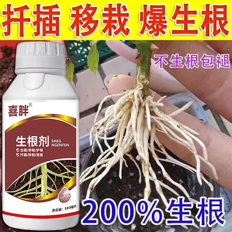强力生根液【3天生根】植物扦插生根剂快速发根壮苗扦插移栽专用