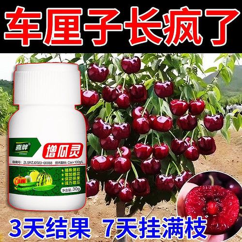 大樱桃防落果车厘子保花保果促果灵大樱桃开花没有果防落素座果灵