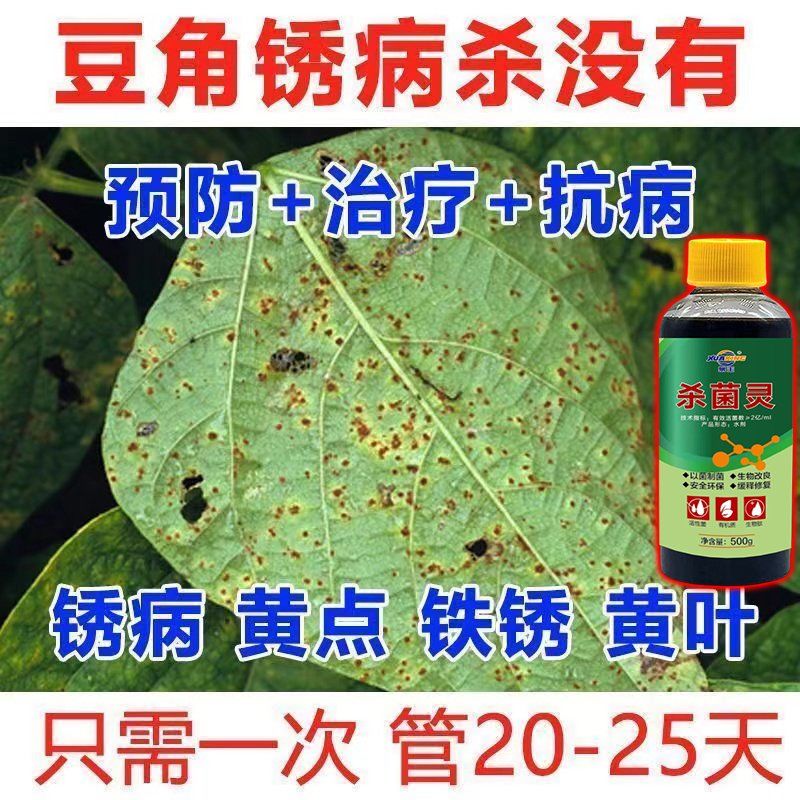 豆角专用药豆角锈病炭疽灵豆角杀菌剂叶斑病疫病枯萎根腐病专用