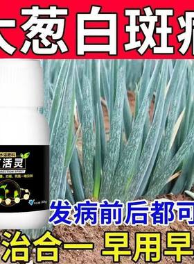 小葱白斑病葱叶有白点白粉病黄叶病病全治大葱白点白斑病全治杀菌