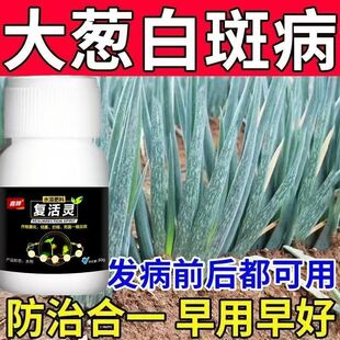 小葱白斑病葱叶有白点白粉病黄叶病病全治大葱白点白斑病全治杀菌