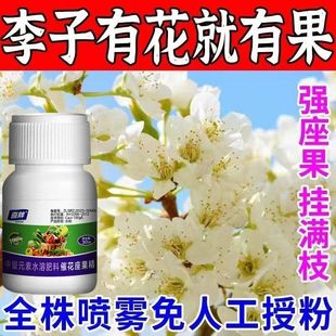 李子坐果药授粉李子树保花保果的药果树授粉坐果灵喷花授粉药催花