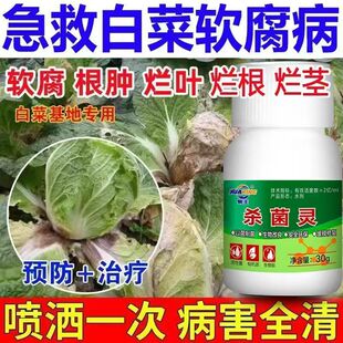 白菜病全治白菜专用药白菜微生物菌剂白菜病菌清杀菌霜霉软腐白粉