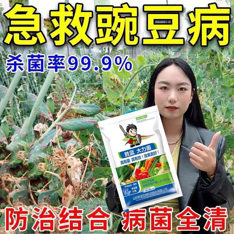 豌豆专用药豌豆病全治烂根白粉病菌核病软腐霜霉病灰霉专用杀菌剂