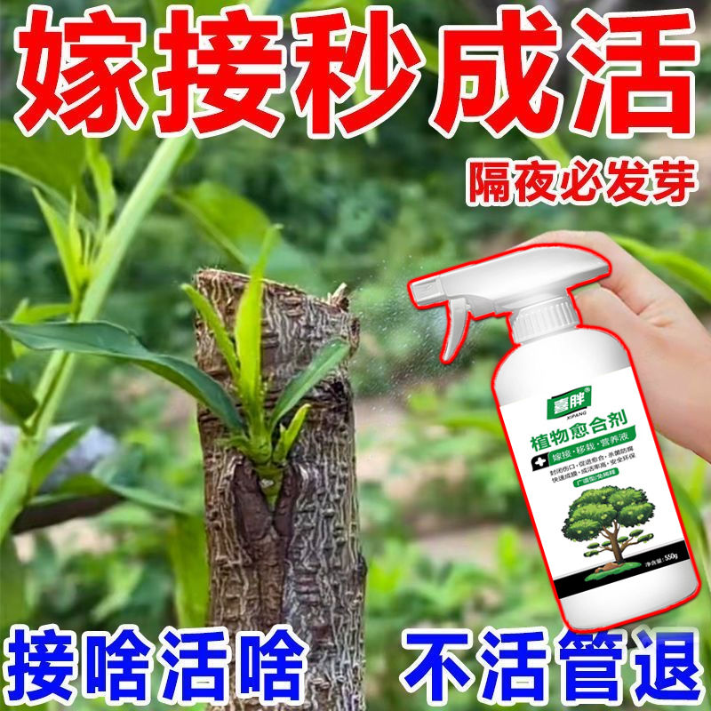 【接啥活啥】果树嫁接植物盆景花卉伤口防护愈合剂树木嫁接愈合剂