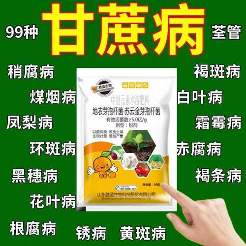 甘蔗黑穗病凤梨赤腐梢腐虎斑心腐根腐褐斑锈病全治甘蔗强效杀菌剂