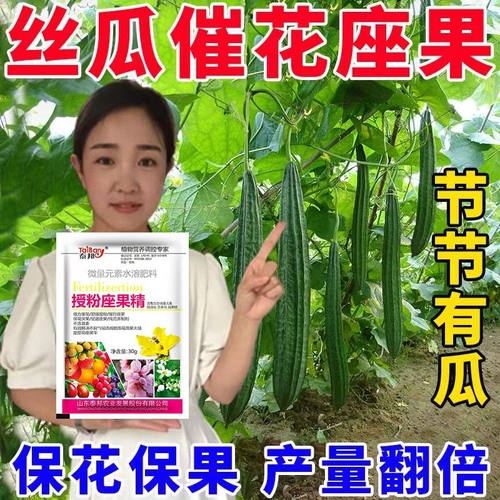丝瓜授粉专用药丝瓜点花药免人工授粉全株喷雾增花保花强座果增产