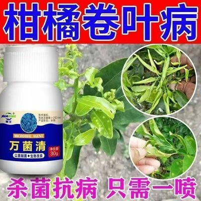 柑橘病全治柑橘卷叶病疮痂病炭疽病砂皮病黑斑黑星病柑橘杀菌剂