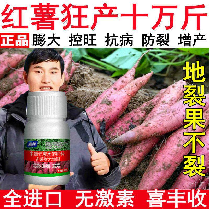 红薯地下猛长红薯控旺膨大素地下猛长急速膨大红薯膨大剂叶面肥