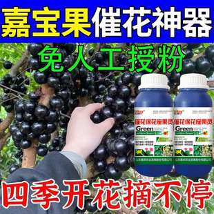 嘉宝果专用催花肥挂果催花坐果树葡萄果树珍宝果保花保果液体肥