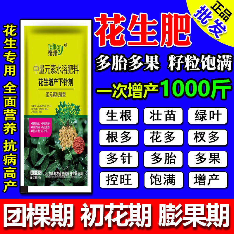 花生分杈下针剂窝窝多花生高产必用开花多下针多粒粒饱抗病增产