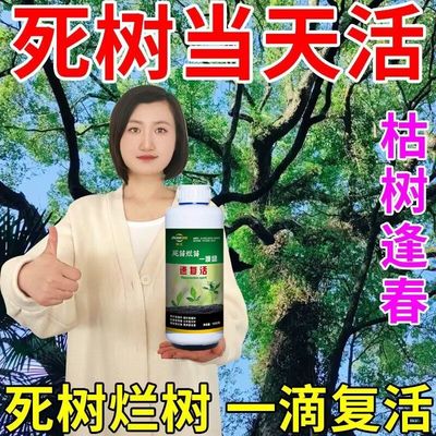 枯树再生液复活营养液提高移栽成活率急救树木充分激活大树生根粉