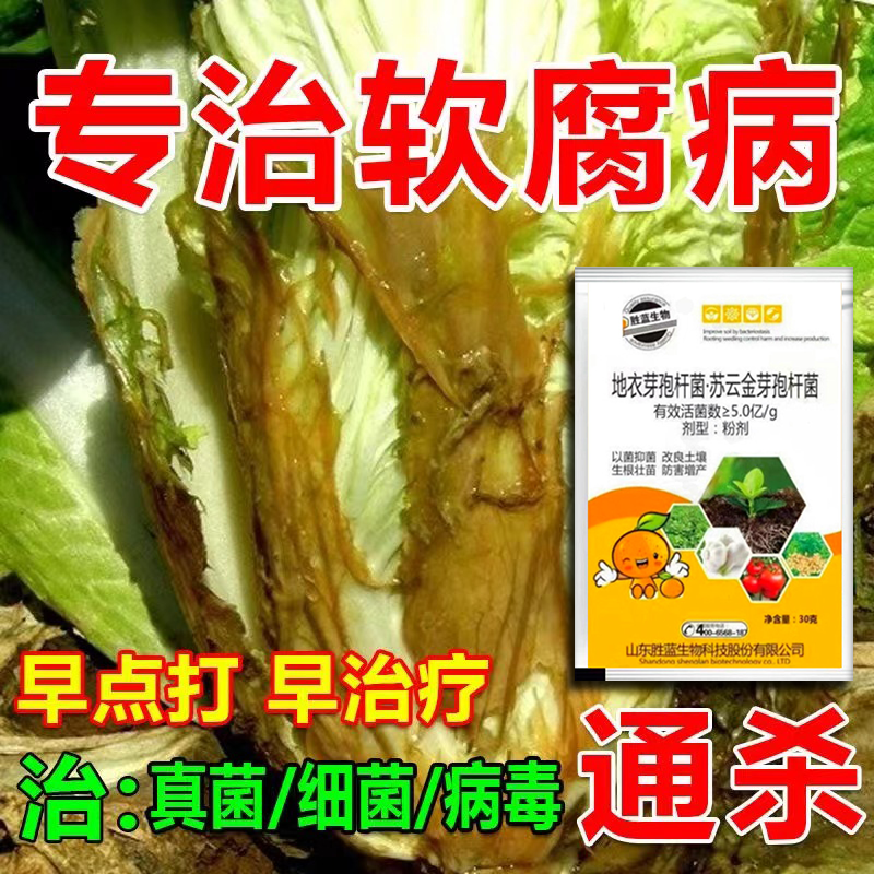 农用青霉素 花卉 果树 蔬菜角斑软腐 细菌 链霉素 连霉素 软腐病