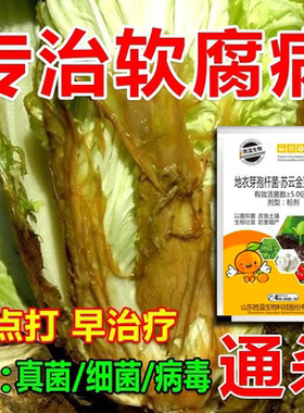 农用青霉素 花卉 果树 蔬菜角斑软腐 细菌 链霉素 连霉素 软腐病