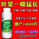 叶菜狂长蔬菜肥料嫩绿速长青菜油菜提苗暴长催生剂叶面肥快速增长