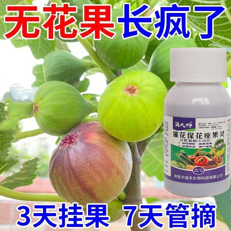 【边摘边结】无花果专用肥料无花果树有机营养肥无花果树催果高产