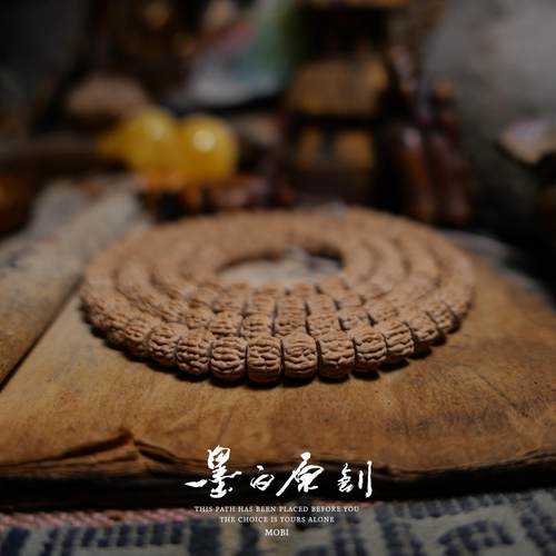 一代盘龙同树籽小金刚菩提子