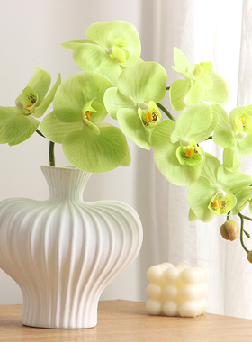 绿色淡雅仿真花蝴蝶兰手感过胶大枝假花客厅餐桌装饰品高花艺摆件