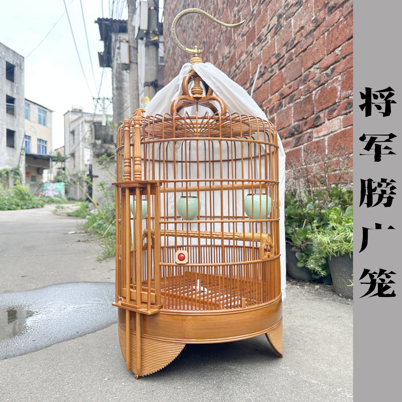 将军膀-新款广西底广笼丝无节